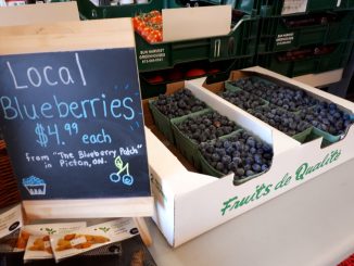 fresh berries at Sigrids in Kingston