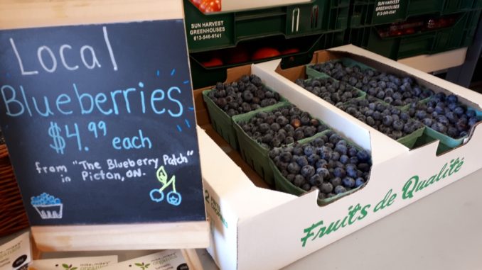 blueberries fresh berries at Sigrids in Kingston