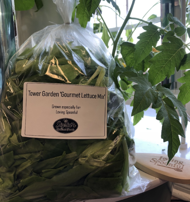 Fresh lettuce at Sigrid's in Kingston